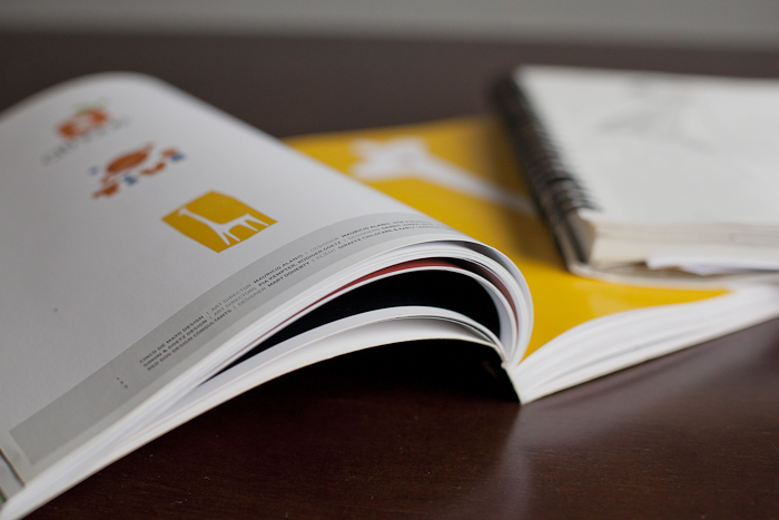 logo design process