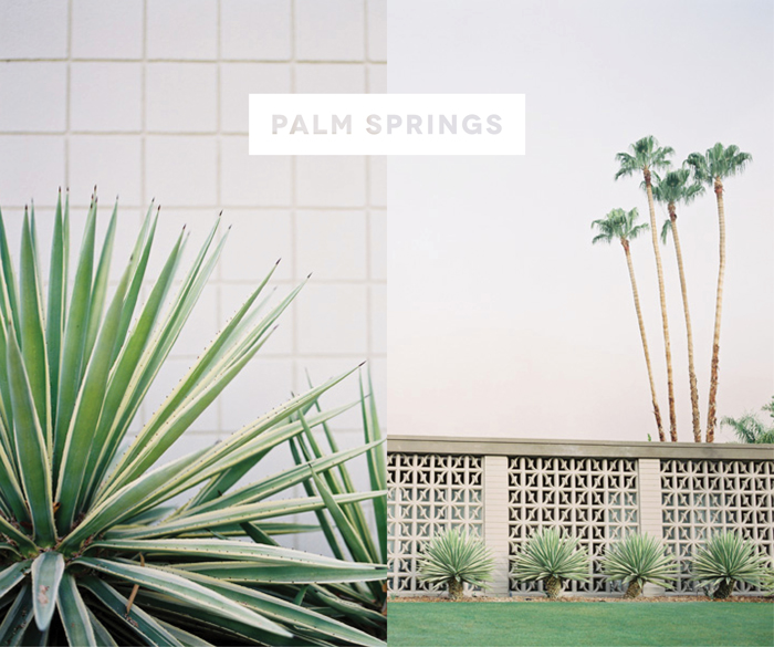 Palm Springs Photo by Jose Villa