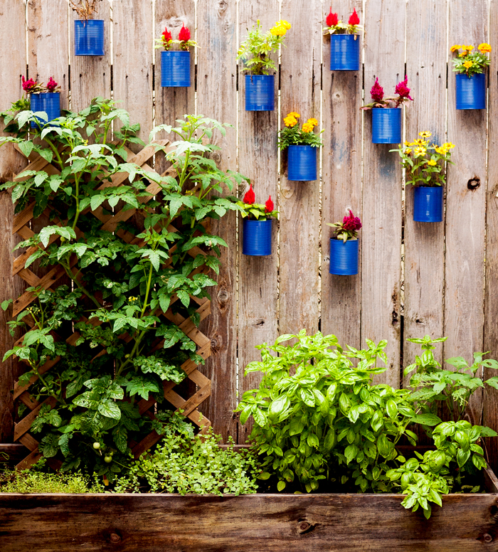 Backyard Tin Can Fence Garden and Planter Box