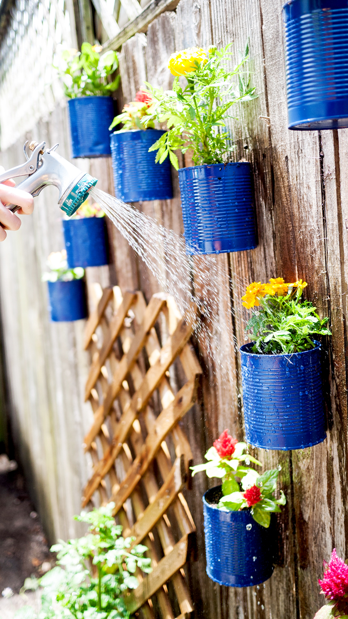 Watering Backyard Tin Can Fence Garden