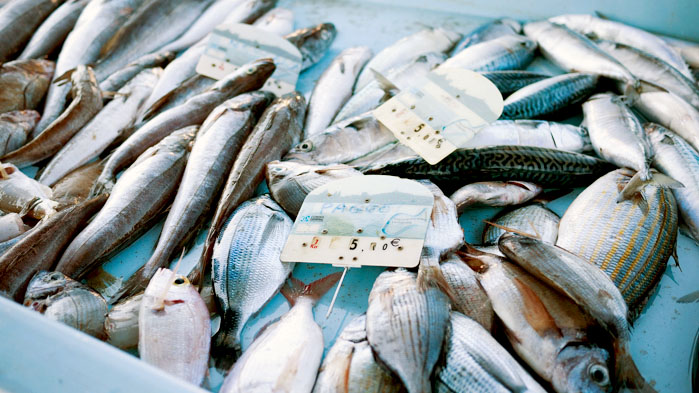 Marseille-Fish-Market-7