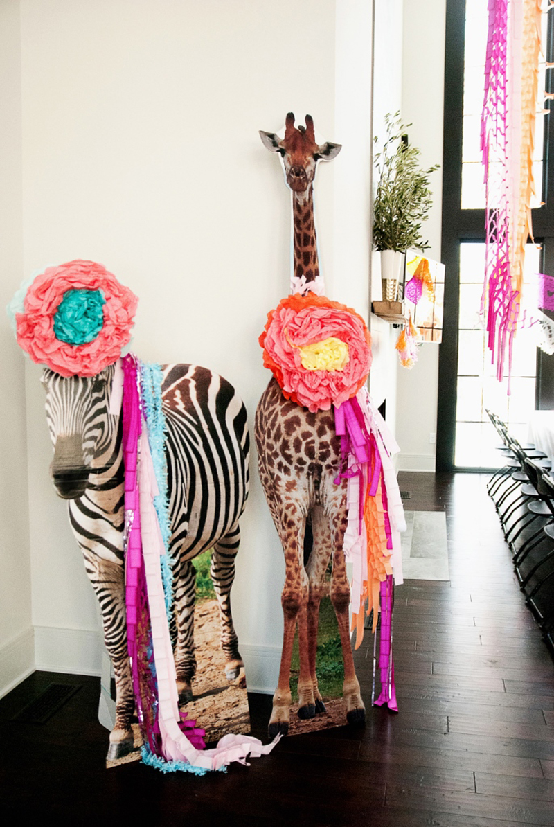 giraffe and zebra dressed for fiesta pasrty
