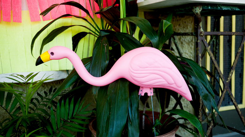 Pink Flamingo in Plants at Bridal Shower