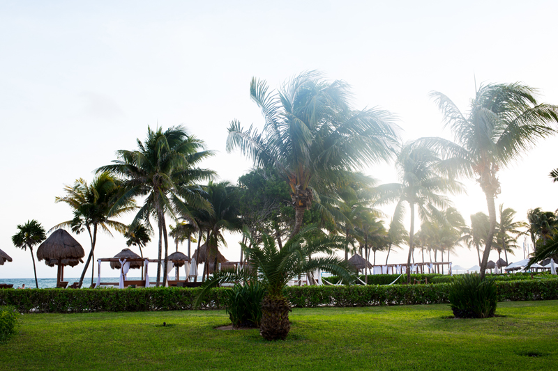 Palm Trees on Tulum Beach