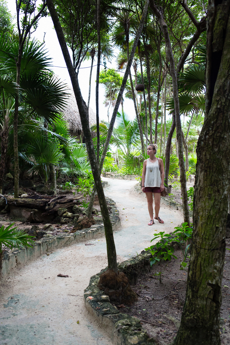 Where The Jungle Meets The Sea - Tulum Mexico